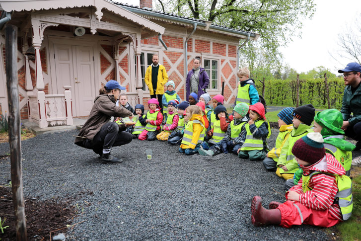 matvalget-mataktivitetsdag_47941628847_o