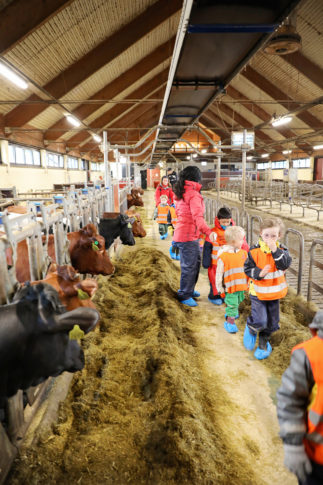 matvalget-mataktivitetsdag_47941629567_o