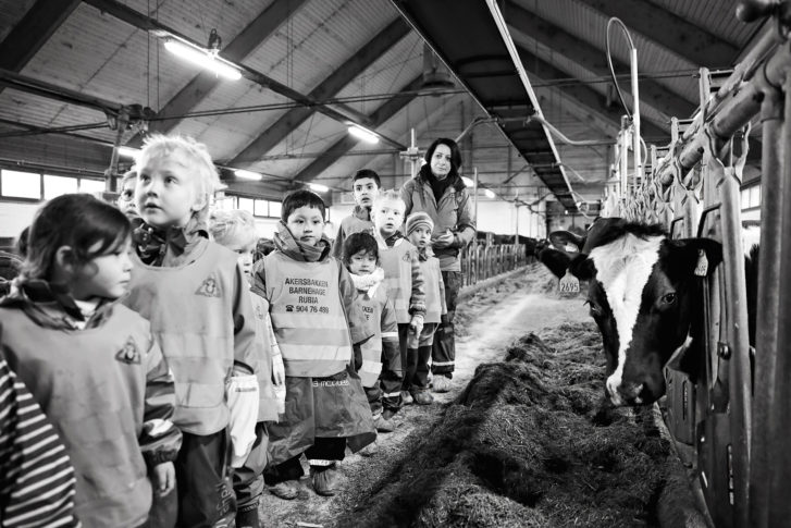 matvalget-mataktivitetsdag_47941650218_o