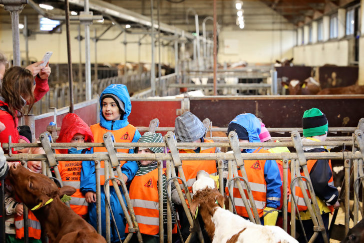 matvalget-mataktivitetsdag_47941650258_o